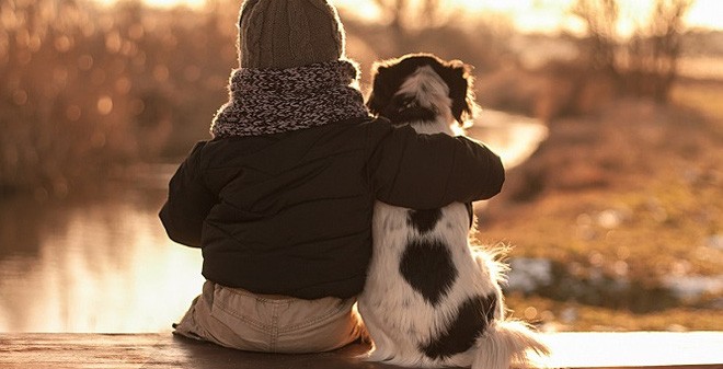Hành động xoa bụng cho chú cún dễ thương chắc chắn sẽ làm cho bạn và cả chú cún càng gắn kết hơn. Hãy xem hình ảnh để cảm nhận được tình cảm đặc biệt giữa chủ nhân và chú cún.