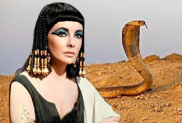 Rắn của nữ hoàng Cleopatra - những lời đồn thổi đã làm nên tên tuổi của chúng. Hình ảnh này sẽ đưa bạn đến với thế giới xa xưa của vua chúa pharaoh và những sinh vật kỳ lạ trong vườn thú của họ.