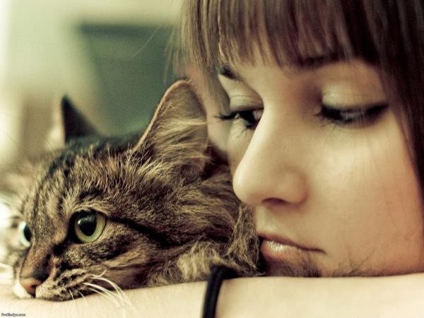 Cún hay thỏ, cung Hoàng đạo của bạn hợp với loài vật nuôi nào nhất?