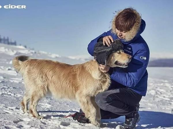 Lee Min Ho: Đã đẹp trai, lại còn yêu thương động vật 