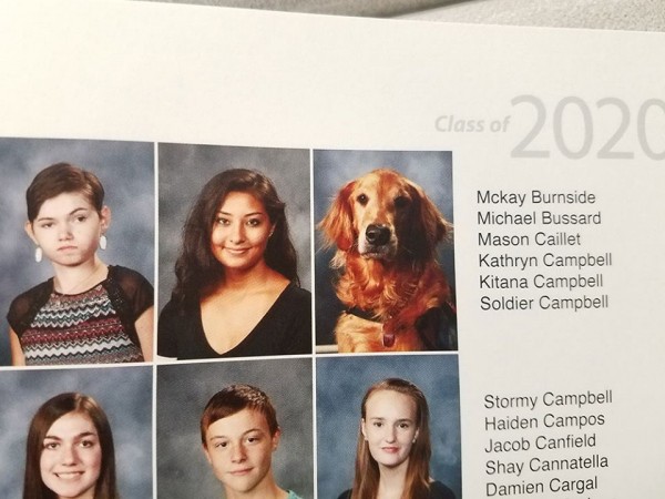Soldier Campbell - chú chó đầu tiên xuất hiện trong kỷ yếu trường học như một "thành viên đặc biệt"