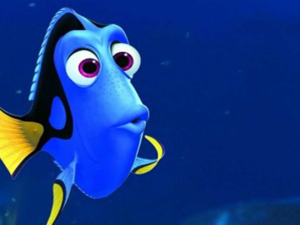 Đừng lo nếu bạn có trí nhớ ngắn hạn giống Dory, vì đó là dấu hiệu của người thông minh