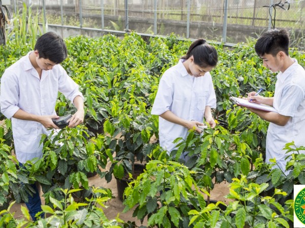 Khối ngành Nông nghiệp - Nghịch lý về nguồn nhân lực và cơ hội việc làm