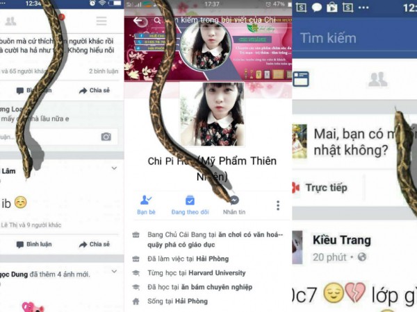 Không chỉ rắn, bạn có thể mang cả gián với chuột lên Facebook nếu làm theo những bước này