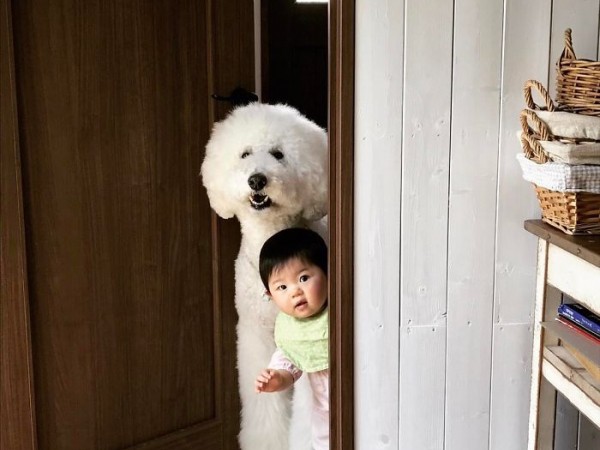 "Lụy tim" với sự thân thiết của đôi bạn "thanh mai trúc mã" cực đáng yêu này