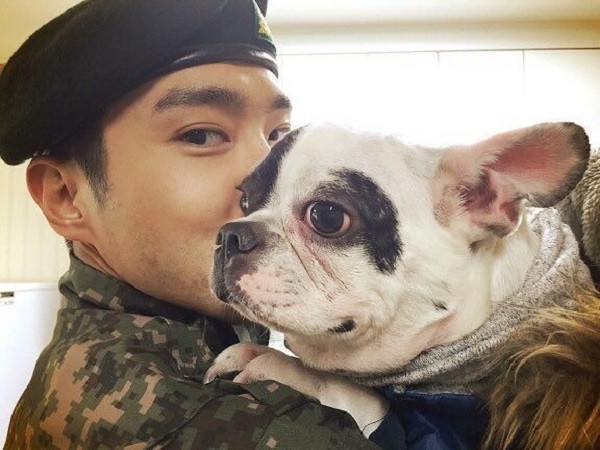 Cư dân mạng tìm được bằng chứng cho thấy trước đây chó cưng của Siwon đã từng cắn người