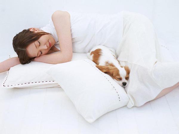 Tư thế ngủ thế nào là đúng để không ảnh hưởng đến sức khỏe?