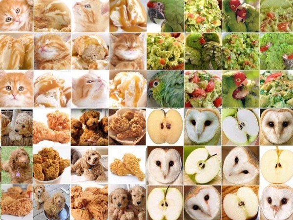 Chùm ảnh: Đố bạn phân biệt được đây là đồ ăn hay... động vật?