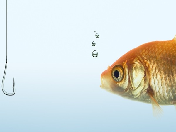 Bạn có biết con cá bị mắc câu cảm thấy thế nào không?