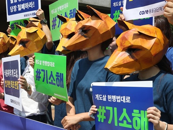 Tòa án Hàn Quốc ra phán quyết "lịch sử": Giết chó lấy thịt là phi pháp