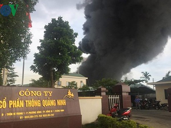 Quảng Ninh: Huy động 800 người dập cháy lớn tại công ty CP thông Quảng Ninh