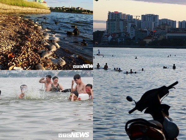 Hồ Tây ngập ngụa cá chết, dân Thủ đô vẫn nô nức rủ nhau bơi lội