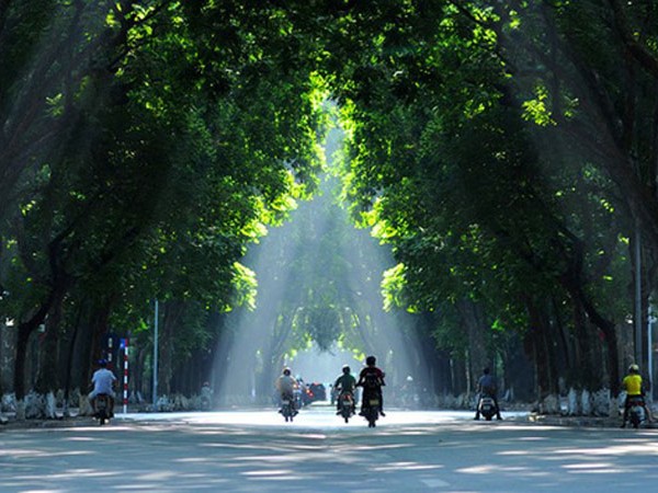 Những không gian xanh tránh nóng ngày hè ở Hà Nội
