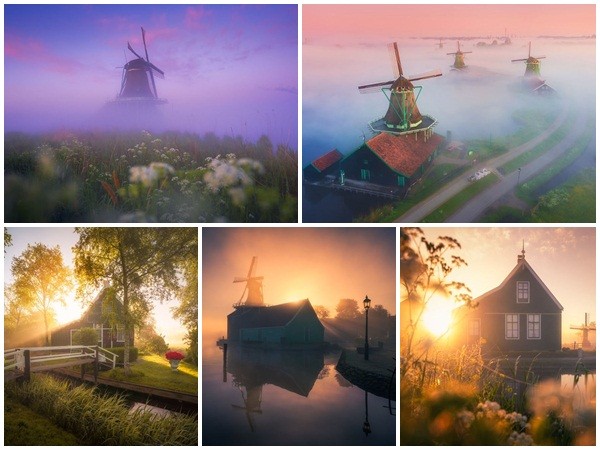 Làng cối xay gió ở Hà Lan chìm trong sương mù huyền ảo như cổ tích