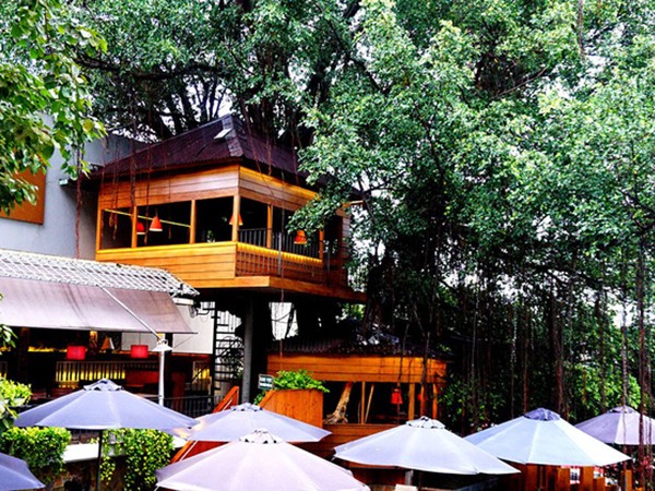 Độc đáo quán cà phê cheo leo trên cây ở Sài Gòn