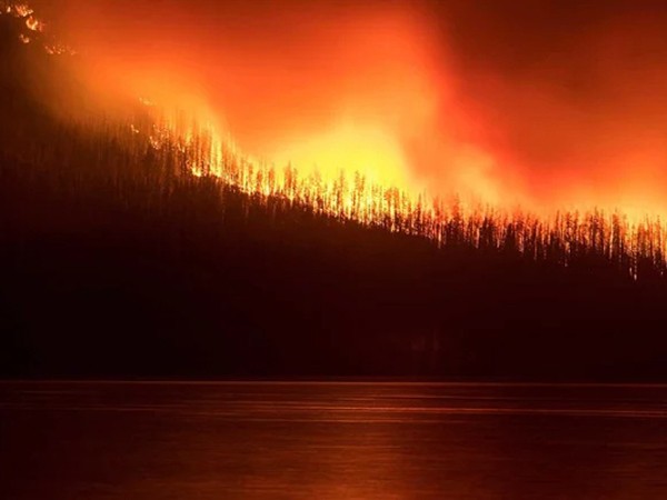 Thoát chết trong gang tấc khi lái xe băng qua biển lửa cháy rừng ở Mỹ