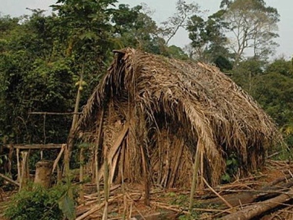 Cuộc sống cô độc suốt 22 năm của thành viên cuối cùng trong một bộ lạc Amazon