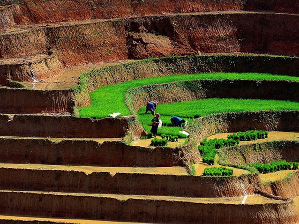 Ruộng bậc thang Yên Bái nằm trong top “Ảnh Trái Đất” ấn tượng nhất