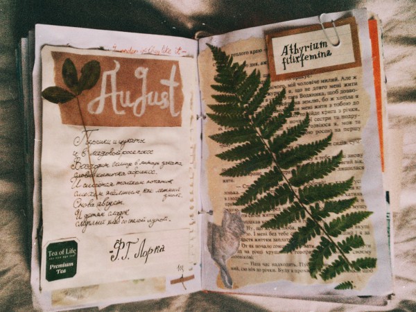 “Những mốc thời gian hạnh phúc”: Tháng Chín và những lá thư tay