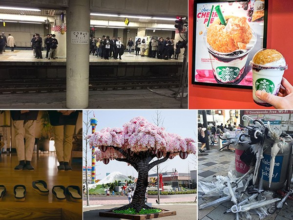 Những hình ảnh chỉ có ở Nhật Bản khiến cả thế giới kinh ngạc