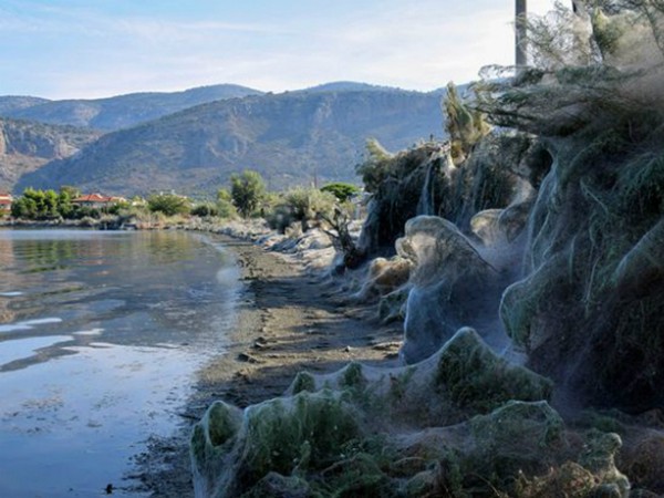 Mạng nhện khổng lồ dài 300m ở khu du lịch Hy Lạp