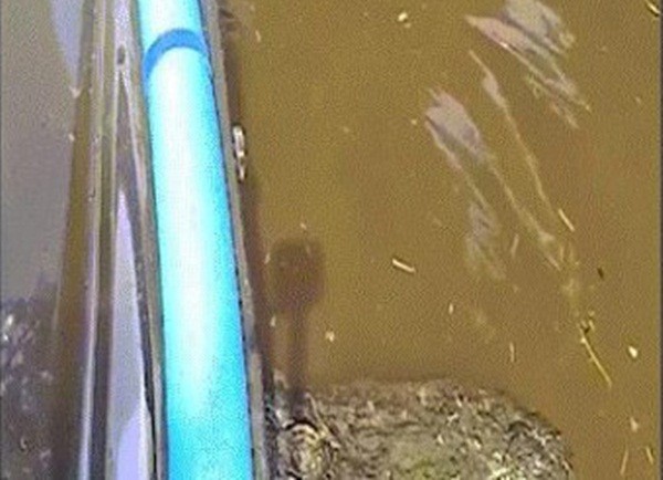 Ca nô bị mắc kẹt trên lưng một con cá sấu khổng lồ