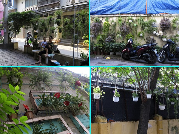 Những vườn treo nhỏ xinh, mát mắt dọc ngõ phố Hà Nội