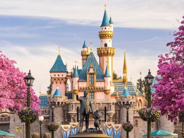 Công viên Disneyland bị khách lén rải tro người chết