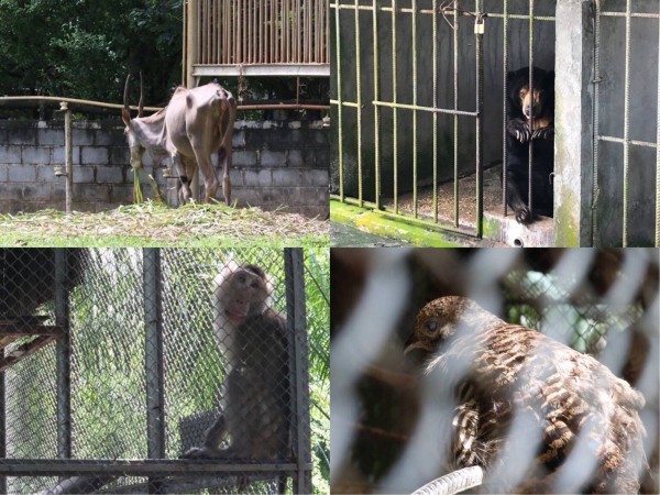 Rùng mình trước cảnh động vật bị ngược đãi tại Vườn thú công viên nước Củ Chi (TP.HCM)