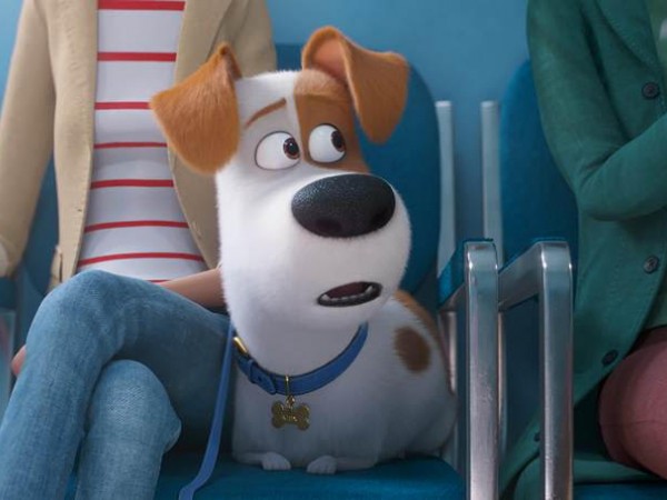 Trailer đầu tiên của “Đẳng Cấp Thú Cưng 2" bật mí hội bạn mới của chó Max 