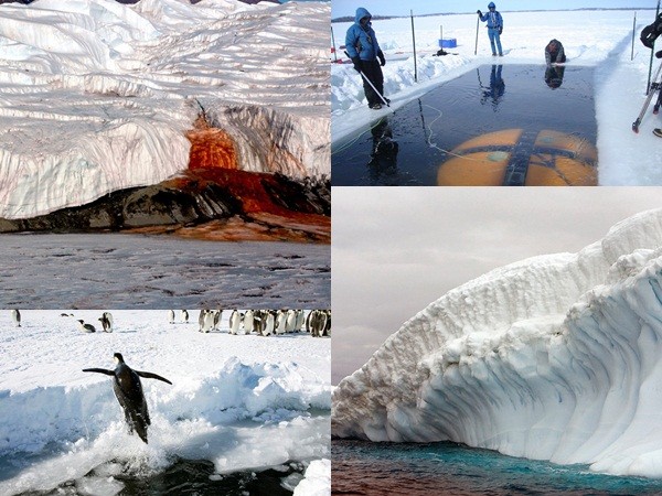 13 sự thật thú vị về Nam Cực