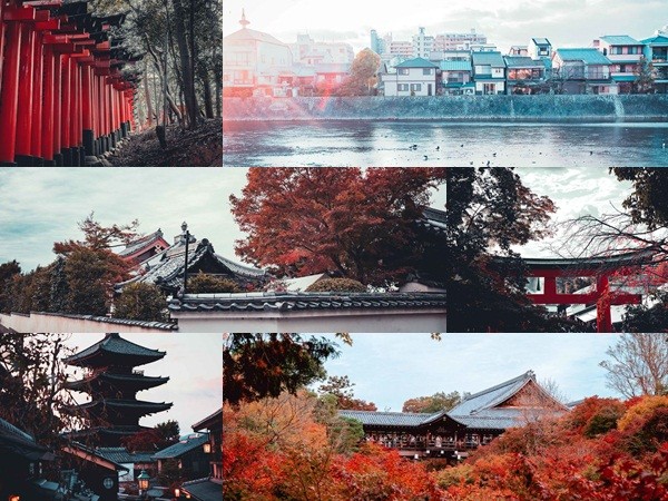 Bộ ảnh đẹp mê hồn của cố đô Kyoto