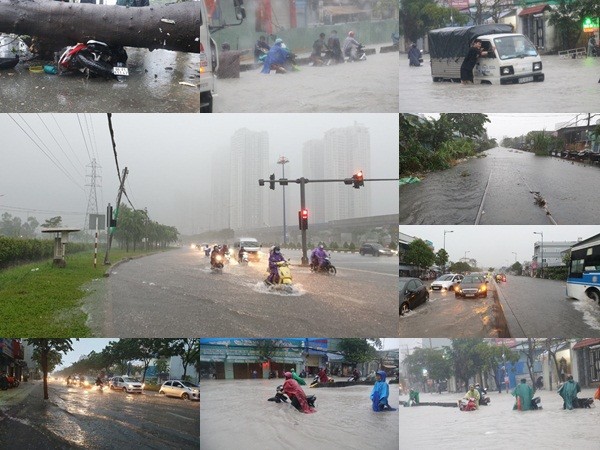 Sau bão số 9: Sài Gòn ngập khắp nơi, cây đổ đè người đi xe máy