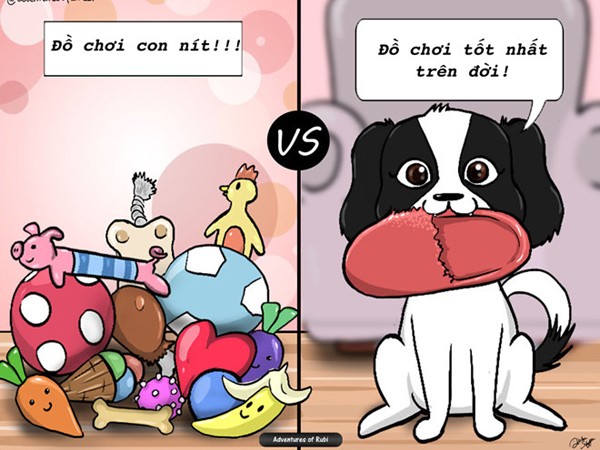 Nỗi niềm khó nói nên lời chỉ hội nuôi chó mới hiểu