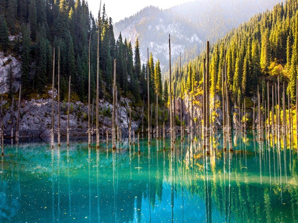 Hồ nước bí ẩn với “hiện tượng siêu thực” về loài cây mọc ngược dưới đáy
