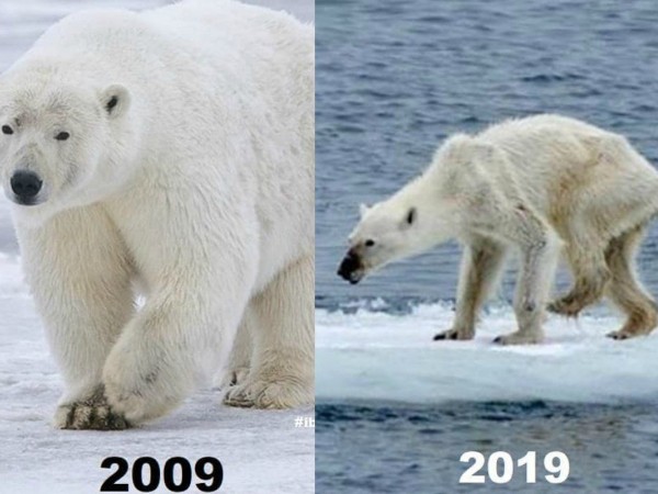 #10yearschallenge: Hãy nhìn lại những gì chúng ta đã làm cho thiên nhiên trong vòng 10 năm qua!