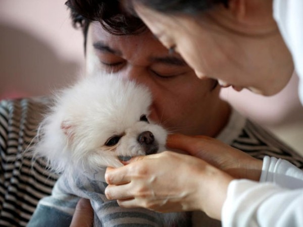 Chi phí sinh con đắt đỏ, vợ chồng trẻ Hàn Quốc dành hết tình yêu cho... thú cưng