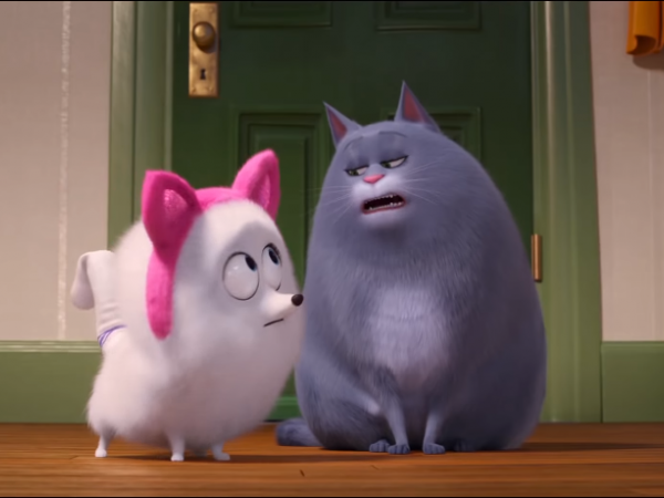Cún Gidget bày đặt học làm mèo thanh lịch trong trailer mới của "Đẳng Cấp Thú Cưng 2”