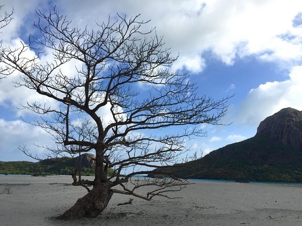 Đầu năm, du Xuân Côn Đảo - một trong những đảo bí ẩn và tốt nhất thế giới