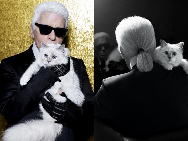 Giám đốc sáng tạo Chanel Karl Lagerfeld để lại tài sản 200 triệu đô cho mèo cưng
