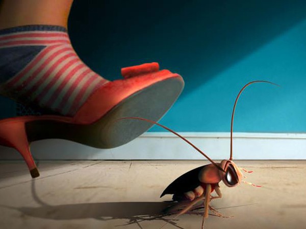 Mỹ: Bi hài chuyện chỉ vì muốn giết gián mà tự hại chính bản thân mình