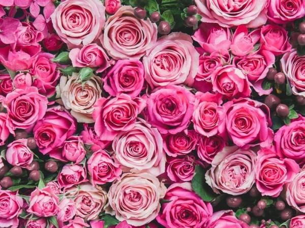 Horoscope tuần từ 22/4 đến 28/4: Bầu trời những ngày cuối tháng 4 liệu có quá yên bình?