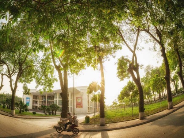 Học về quản lý và phát triển du lịch, cơ hội việc làm trong môi trường quốc tế