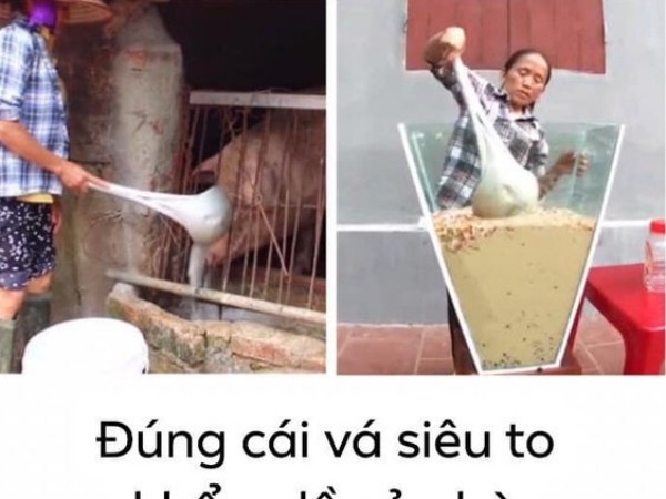 Nghi án Bà Tân Vlog dùng cùng 1 chiếc muỗng để cho heo ăn và… khuấy trà sữa