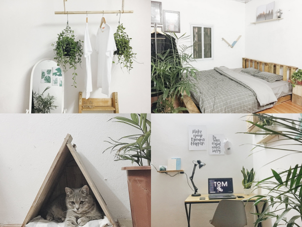 Với 3 triệu đồng, chàng trai tự decor phòng trọ cũ kỹ, tối tăm thành nơi ở phong cách châu Âu