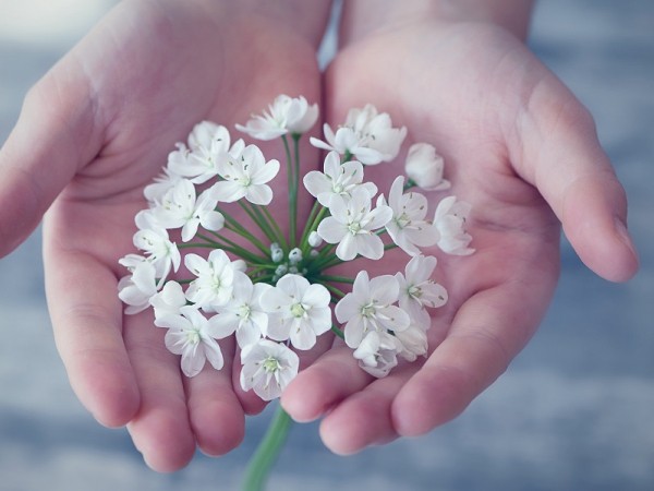 Xòe bàn tay, đếm ngón tay, ngắm thật kỹ xem ngón tay nói gì về bạn