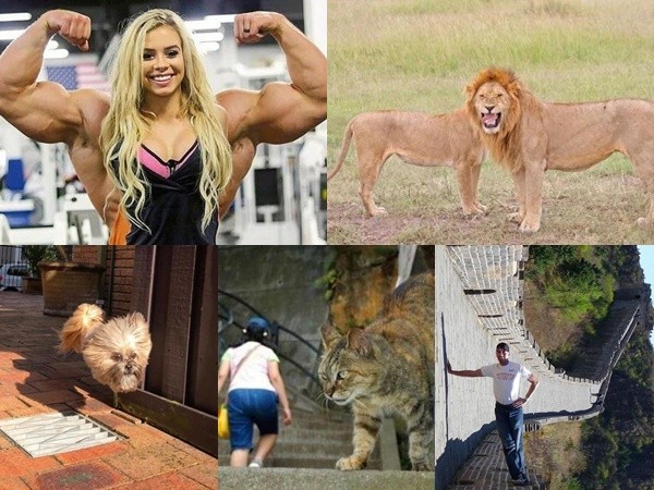 Bạn có tự tin không bị "lú", hiểu nhầm khi xem loạt ảnh này?