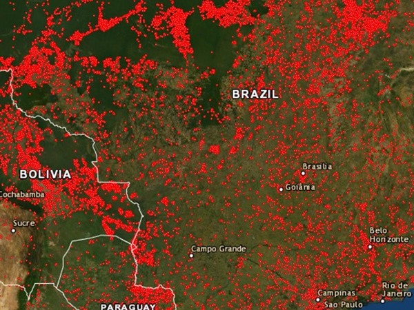 Tin cháy Nhà thờ Đức Bà Paris lan trong 3 phút, rừng Amazon cần 3 tuần