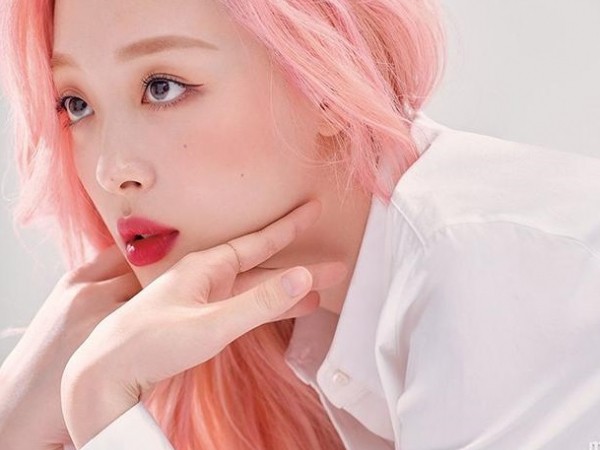 Sau vai khách mời trong “Hotel Del Luna”, Sulli lại có thêm duyên nợ với IU