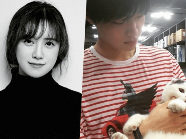 Goo Hye Sun kiên quyết chưa ly hôn với Ahn Jae Hyun vì... một bé mèo